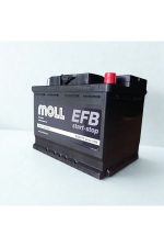 MOLL 64 AH. 620A (EN) EFB. (ÜRETİM TARİHİ: 2025) - Görsel 3